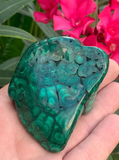 Malachite, spécimen avec nodules/ botryoïdes de 75mm x 54 x 30 - 207,7 grammes . Parfait pour une collection, exposition, décoration !