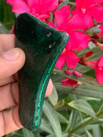 Malachite, spécimen de 95mm x 57 x 12 - 93 grammes . Parfait pour une collection, exposition, décoration !