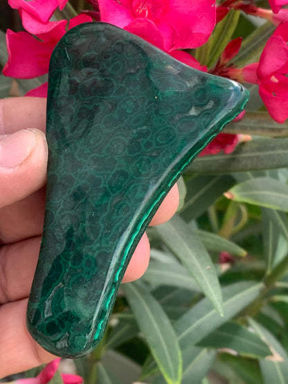 Malachite, spécimen de 95mm x 57 x 12 - 93 grammes . Parfait pour une collection, exposition, décoration !