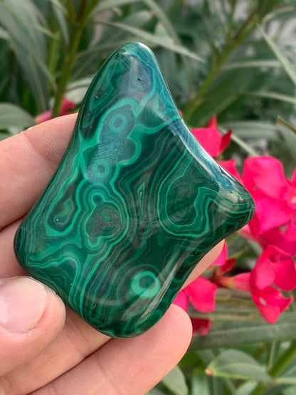 Malachite, spécimen de 62mm x 55 x 15 - 99,2 grammes . Parfait pour une collection, exposition, décoration !