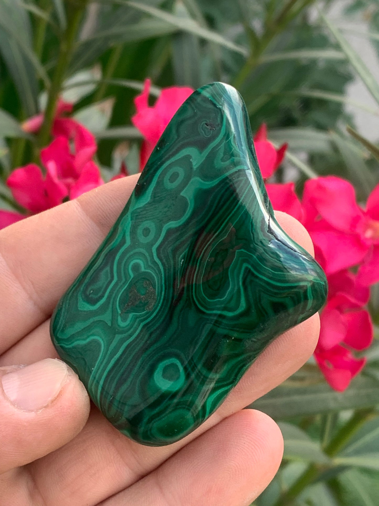 Malachite, spécimen de 62mm x 55 x 15 - 99,2 grammes . Parfait pour une collection, exposition, décoration !