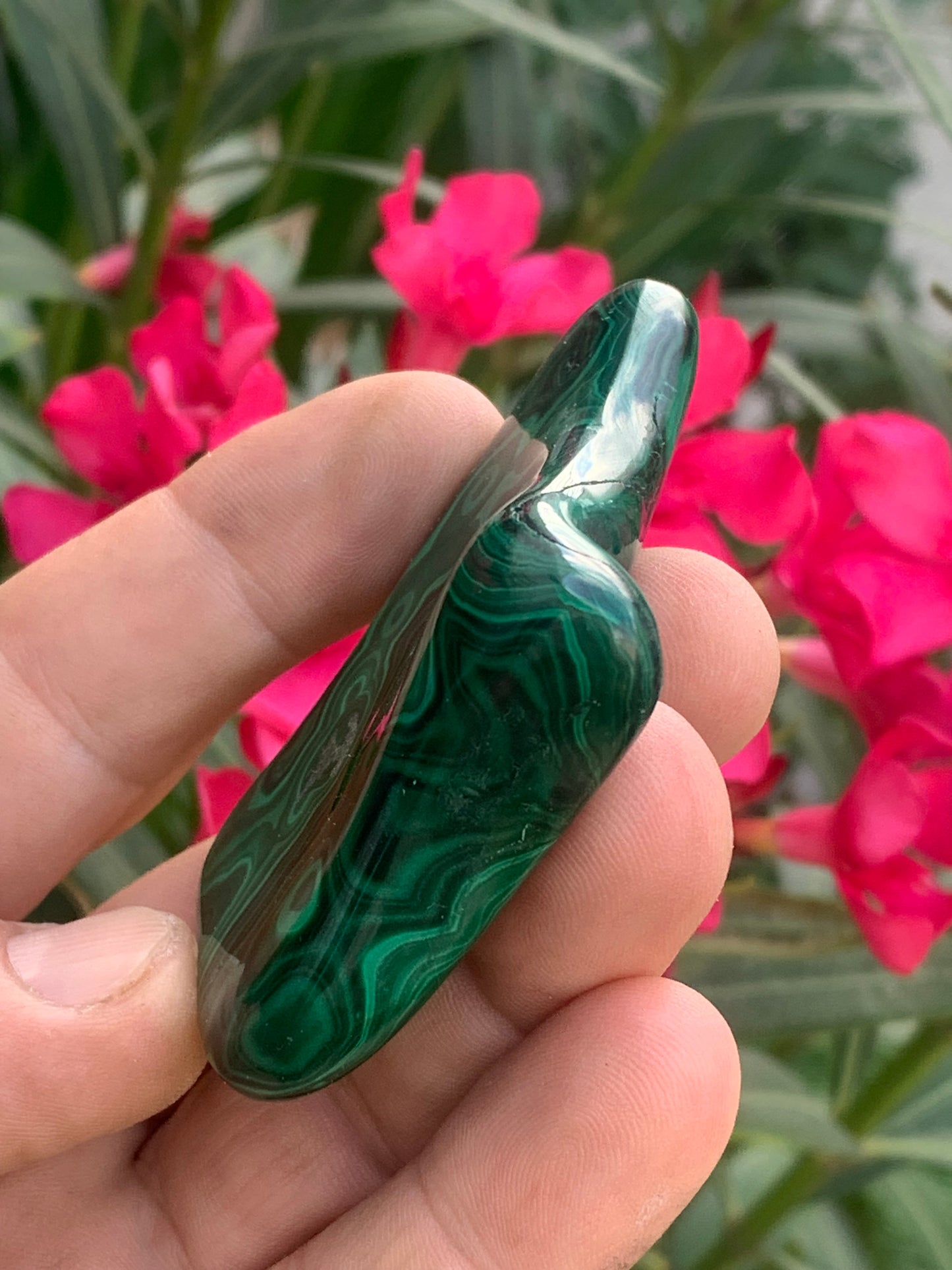 Malachite, spécimen de 62mm x 55 x 15 - 99,2 grammes . Parfait pour une collection, exposition, décoration !