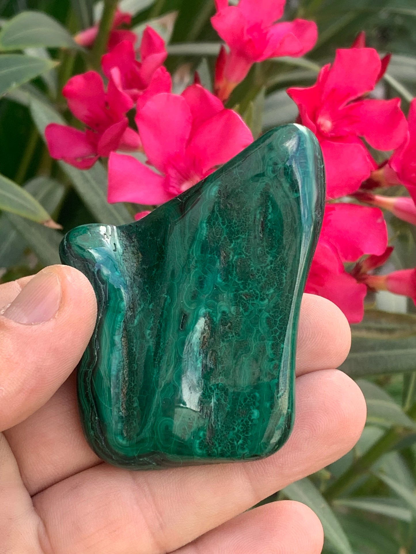 Malachite, spécimen de 62mm x 55 x 15 - 99,2 grammes . Parfait pour une collection, exposition, décoration !