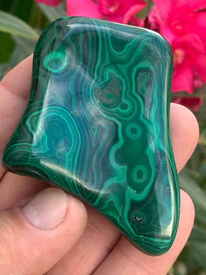 Malachite, spécimen de 62mm x 55 x 15 - 99,2 grammes . Parfait pour une collection, exposition, décoration !