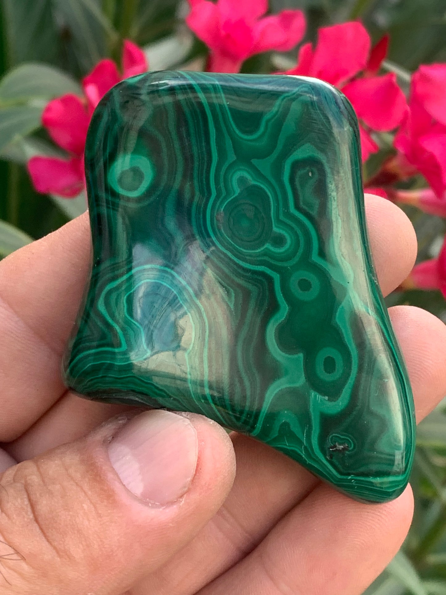 Malachite, spécimen de 62mm x 55 x 15 - 99,2 grammes . Parfait pour une collection, exposition, décoration !