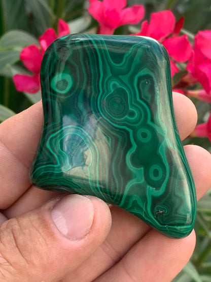 Malachite, spécimen de 62mm x 55 x 15 - 99,2 grammes . Parfait pour une collection, exposition, décoration !