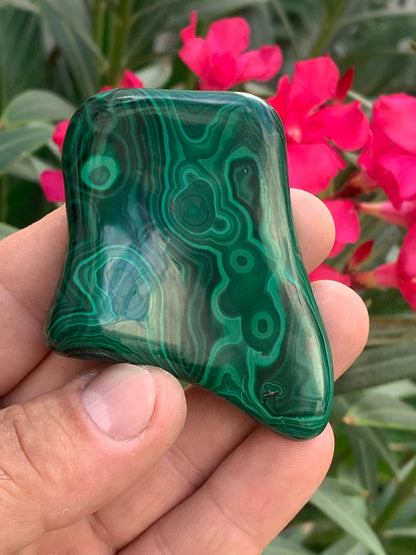 Malachite, spécimen de 62mm x 55 x 15 - 99,2 grammes . Parfait pour une collection, exposition, décoration !