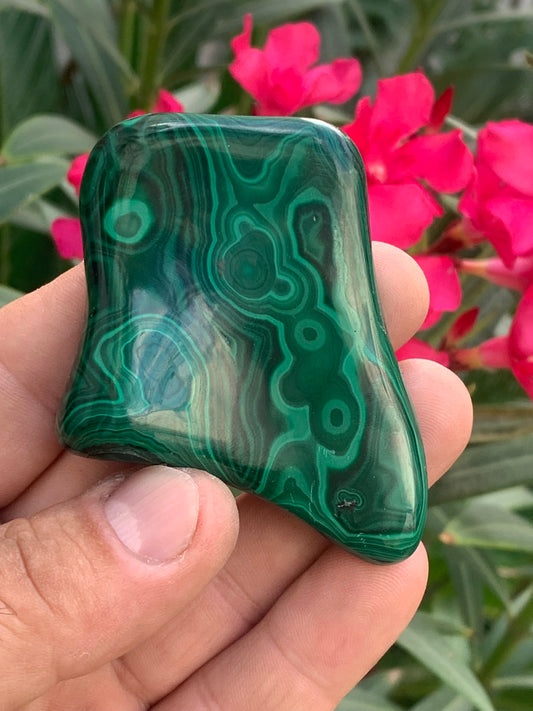 Malachite, spécimen de 62mm x 55 x 15 - 99,2 grammes . Parfait pour une collection, exposition, décoration !