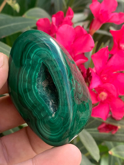 Malachite, spécimen de 65mm x 44 x 40 - 242 grammes . Parfait pour une collection, exposition, décoration !