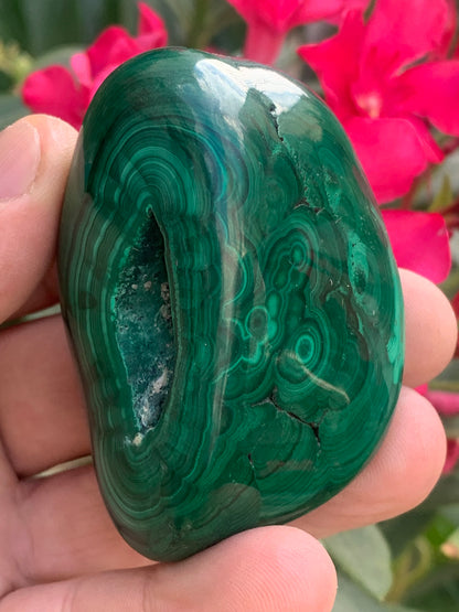 Malachite, spécimen de 65mm x 44 x 40 - 242 grammes . Parfait pour une collection, exposition, décoration !