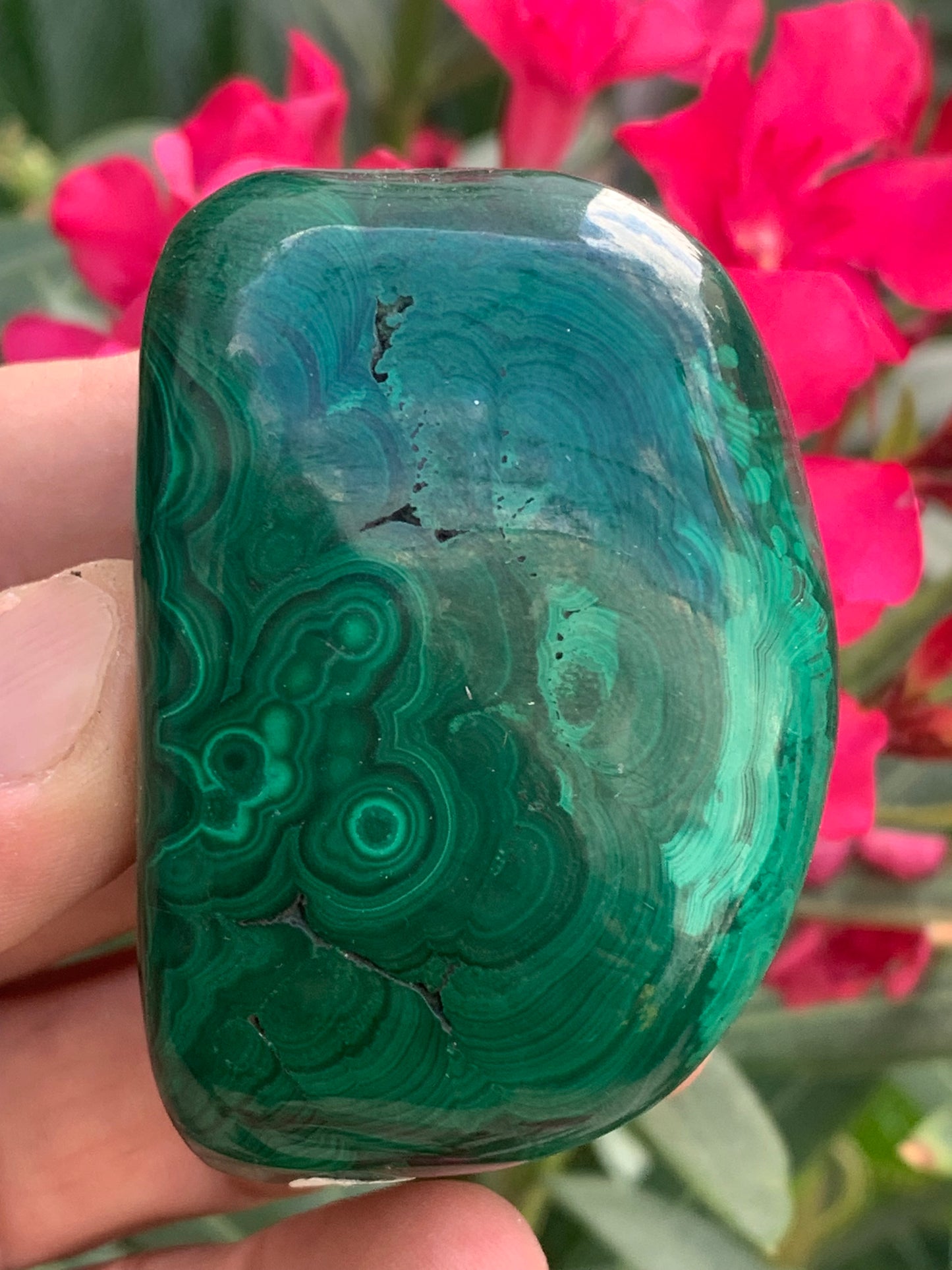 Malachite, spécimen de 65mm x 44 x 40 - 242 grammes . Parfait pour une collection, exposition, décoration !