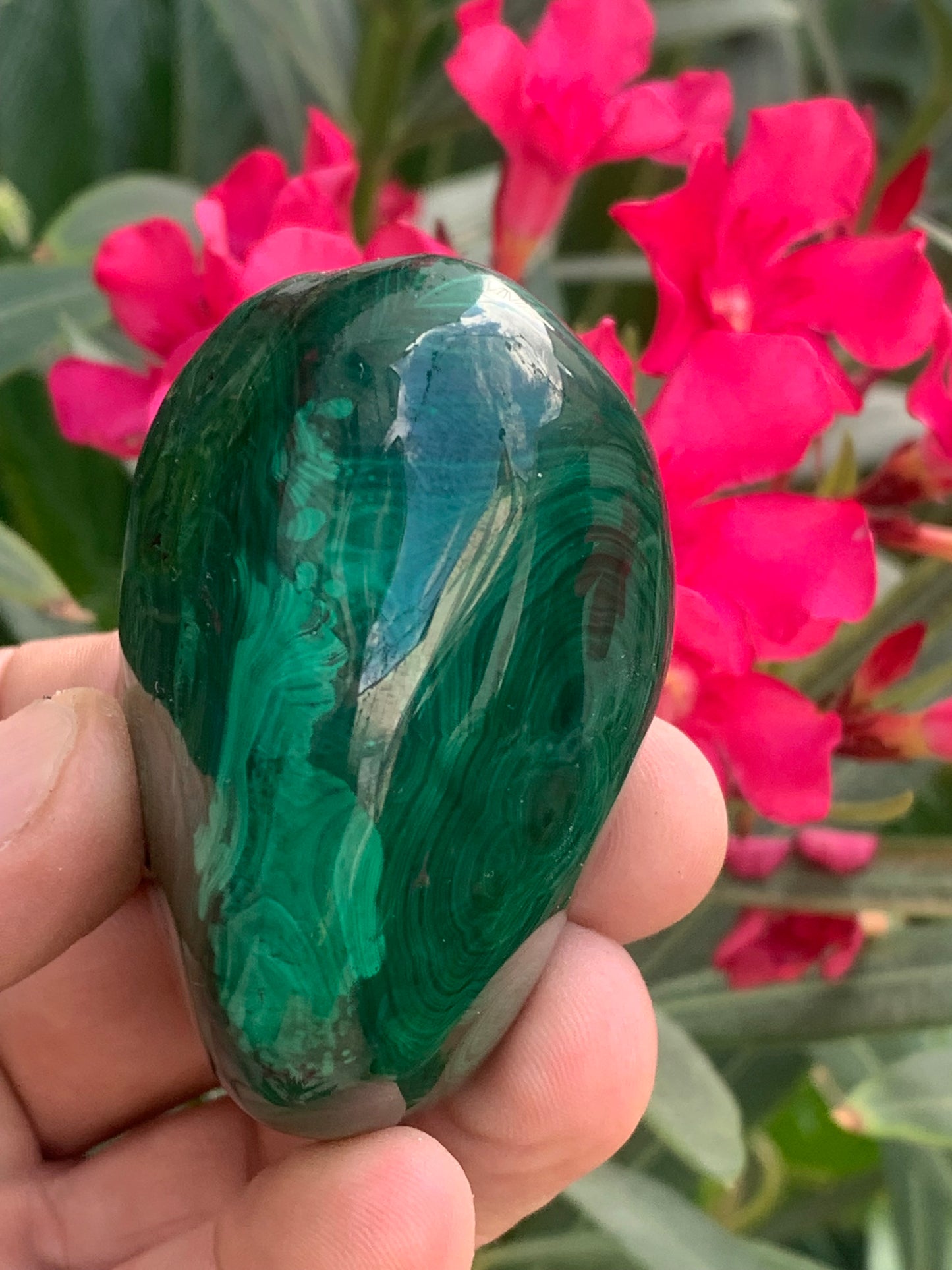 Malachite, spécimen de 65mm x 44 x 40 - 242 grammes . Parfait pour une collection, exposition, décoration !