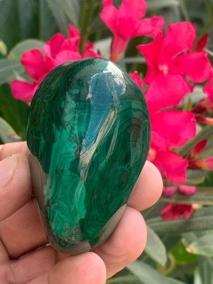 Malachite, spécimen de 65mm x 44 x 40 - 242 grammes . Parfait pour une collection, exposition, décoration !