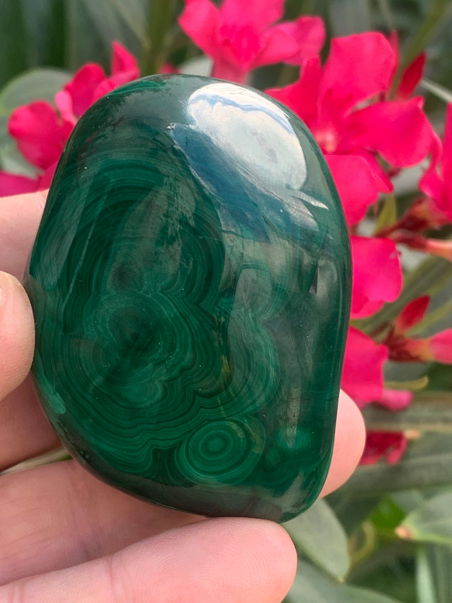 Malachite, spécimen de 65mm x 44 x 40 - 242 grammes . Parfait pour une collection, exposition, décoration !