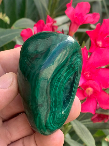 Malachite, spécimen de 65mm x 44 x 40 - 242 grammes . Parfait pour une collection, exposition, décoration !