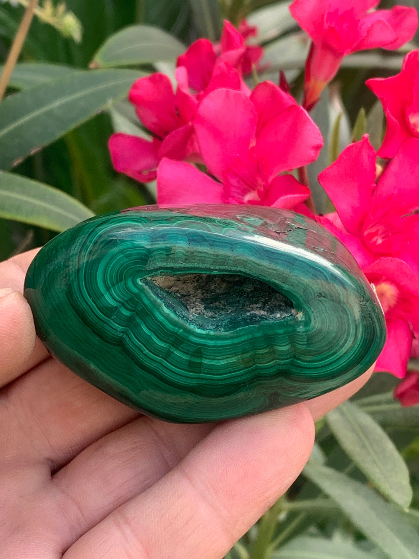 Malachite, spécimen de 65mm x 44 x 40 - 242 grammes . Parfait pour une collection, exposition, décoration !