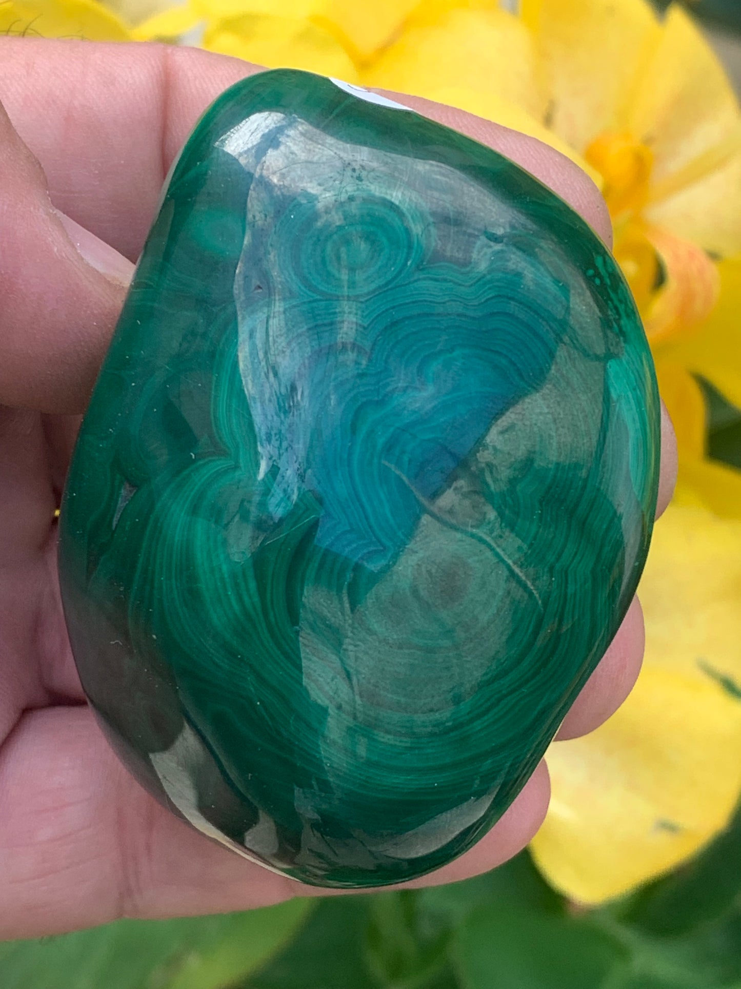 Malachite, spécimen de 65mm x 44 x 40 - 242 grammes . Parfait pour une collection, exposition, décoration !