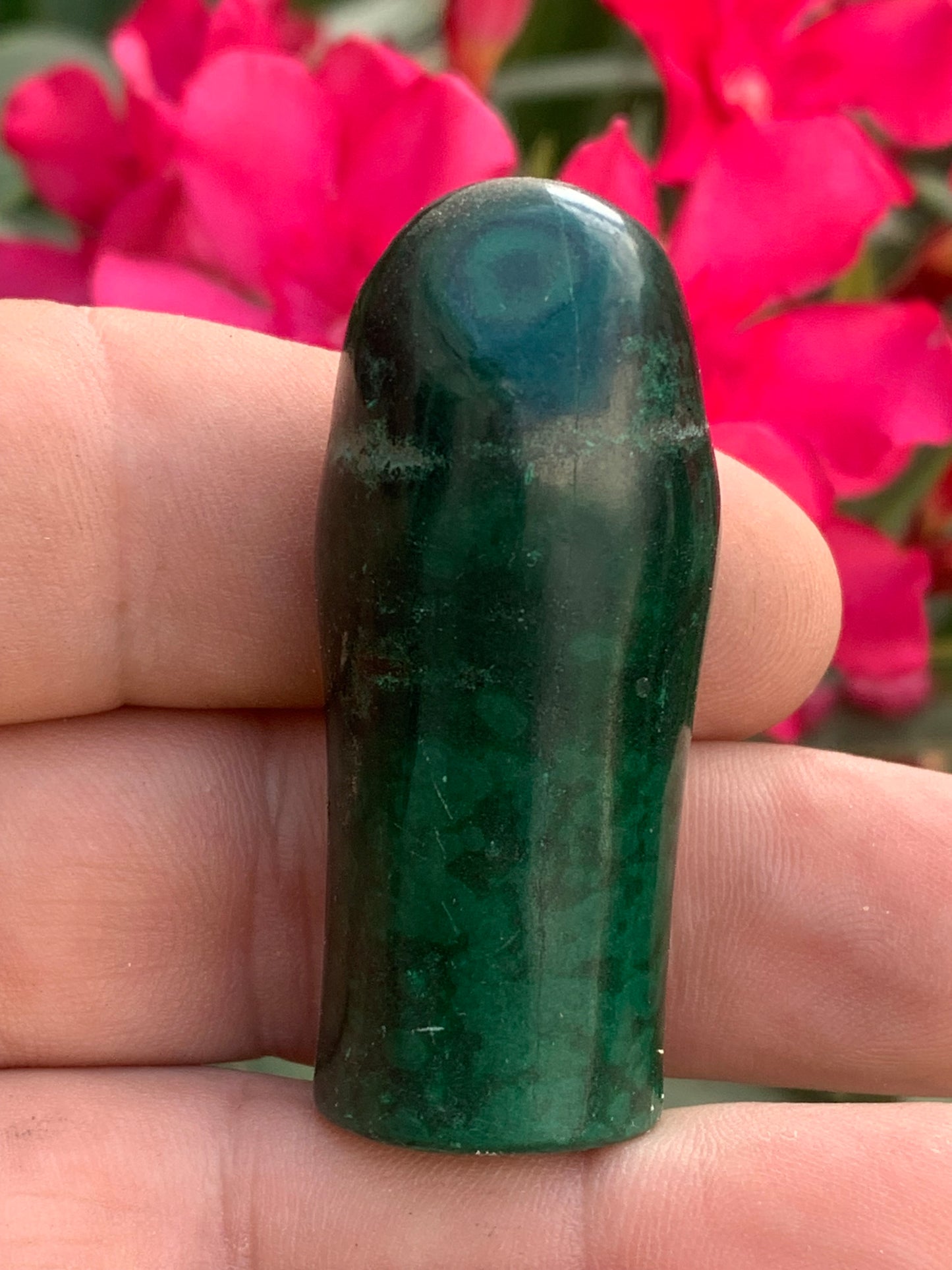 Malachite, spécimen de nodule entier de 51mm de haut x 22 de diamètre - 55 grammes . Parfait pour une collection, exposition, décoration !