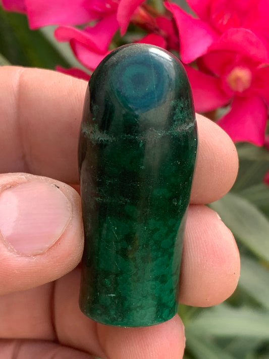 Malachite, spécimen de nodule entier de 51mm de haut x 22 de diamètre - 55 grammes . Parfait pour une collection, exposition, décoration !