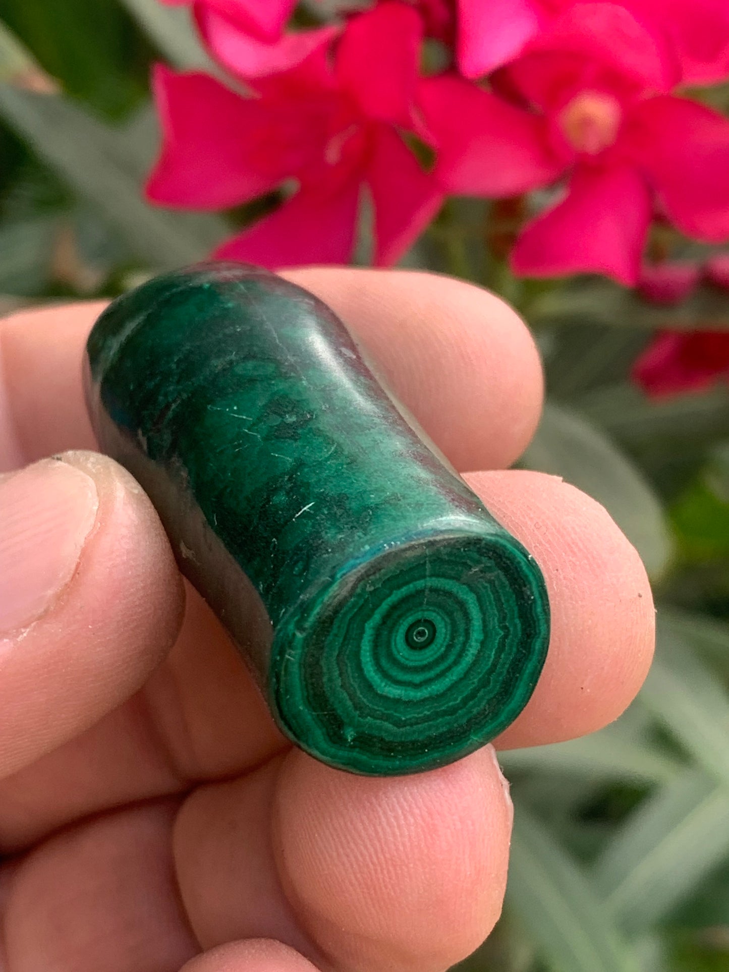 Malachite, spécimen de nodule entier de 51mm de haut x 22 de diamètre - 55 grammes . Parfait pour une collection, exposition, décoration !