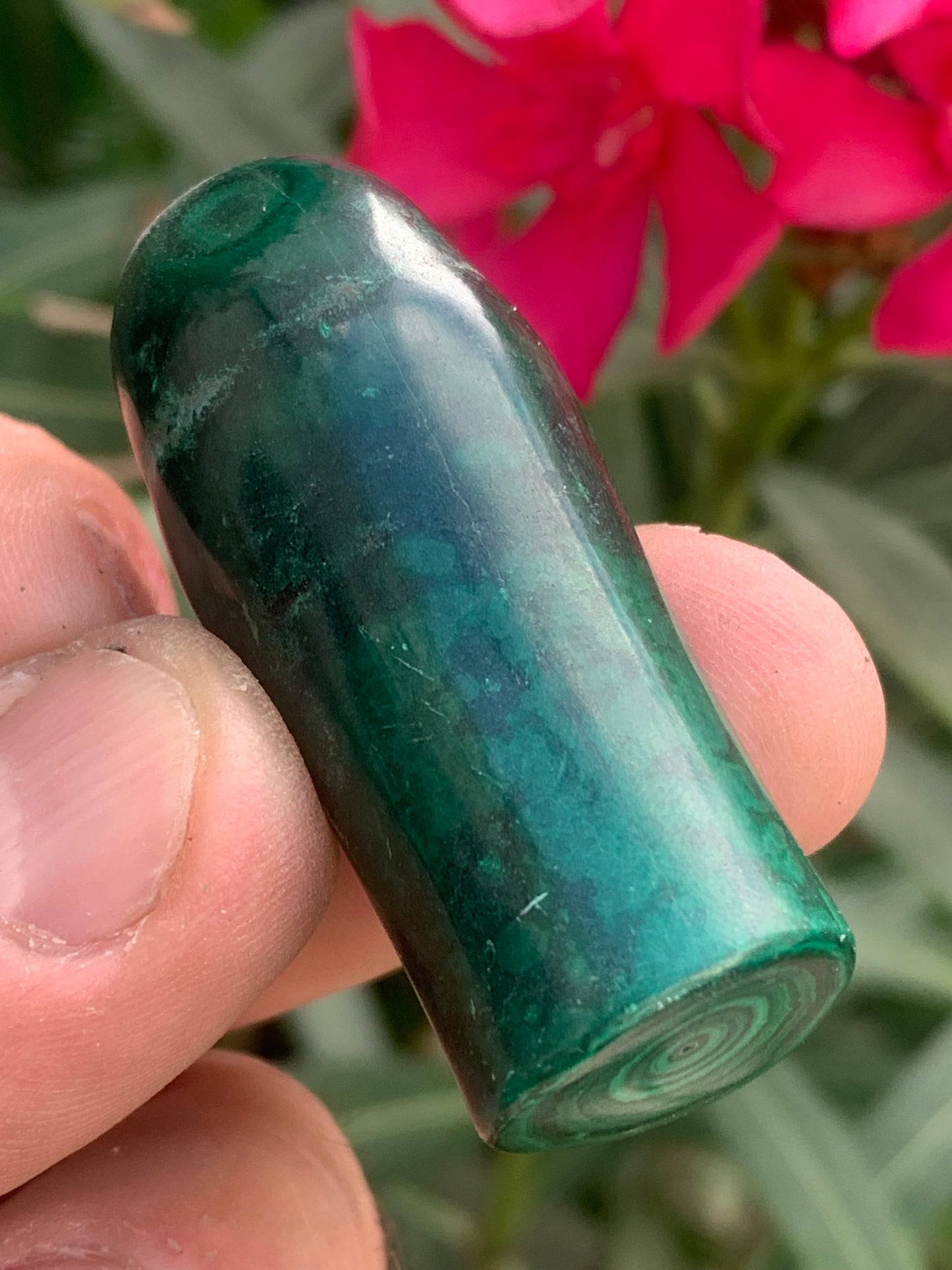 Malachite, spécimen de nodule entier de 51mm de haut x 22 de diamètre - 55 grammes . Parfait pour une collection, exposition, décoration !