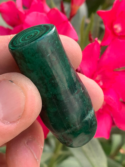 Malachite, spécimen de nodule entier de 51mm de haut x 22 de diamètre - 55 grammes . Parfait pour une collection, exposition, décoration !