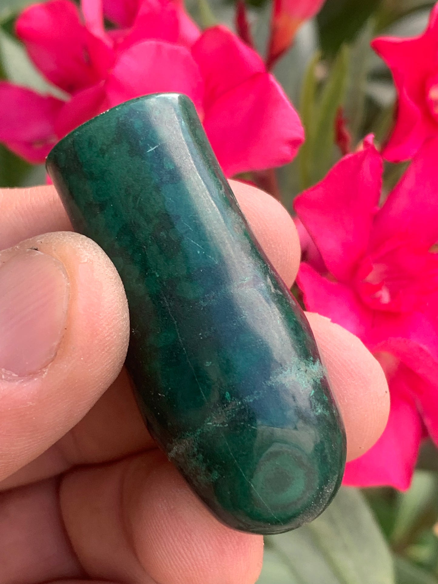 Malachite, spécimen de nodule entier de 51mm de haut x 22 de diamètre - 55 grammes . Parfait pour une collection, exposition, décoration !