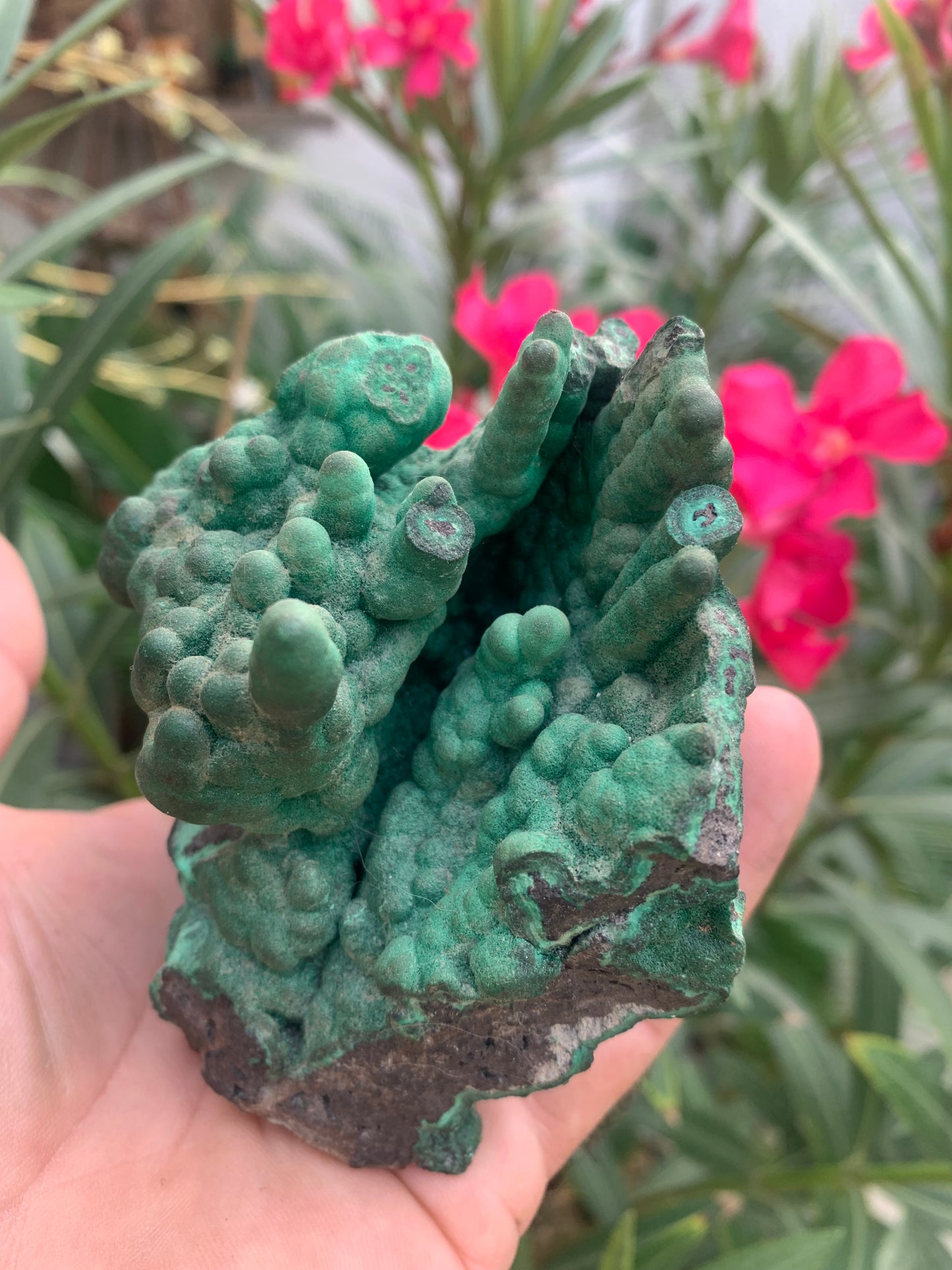 Malachite, superbe spécimen de taille XL de 723 grammes - 105mm x 100 x 75. Parfait pour une collection, exposition ou la bijouterie !