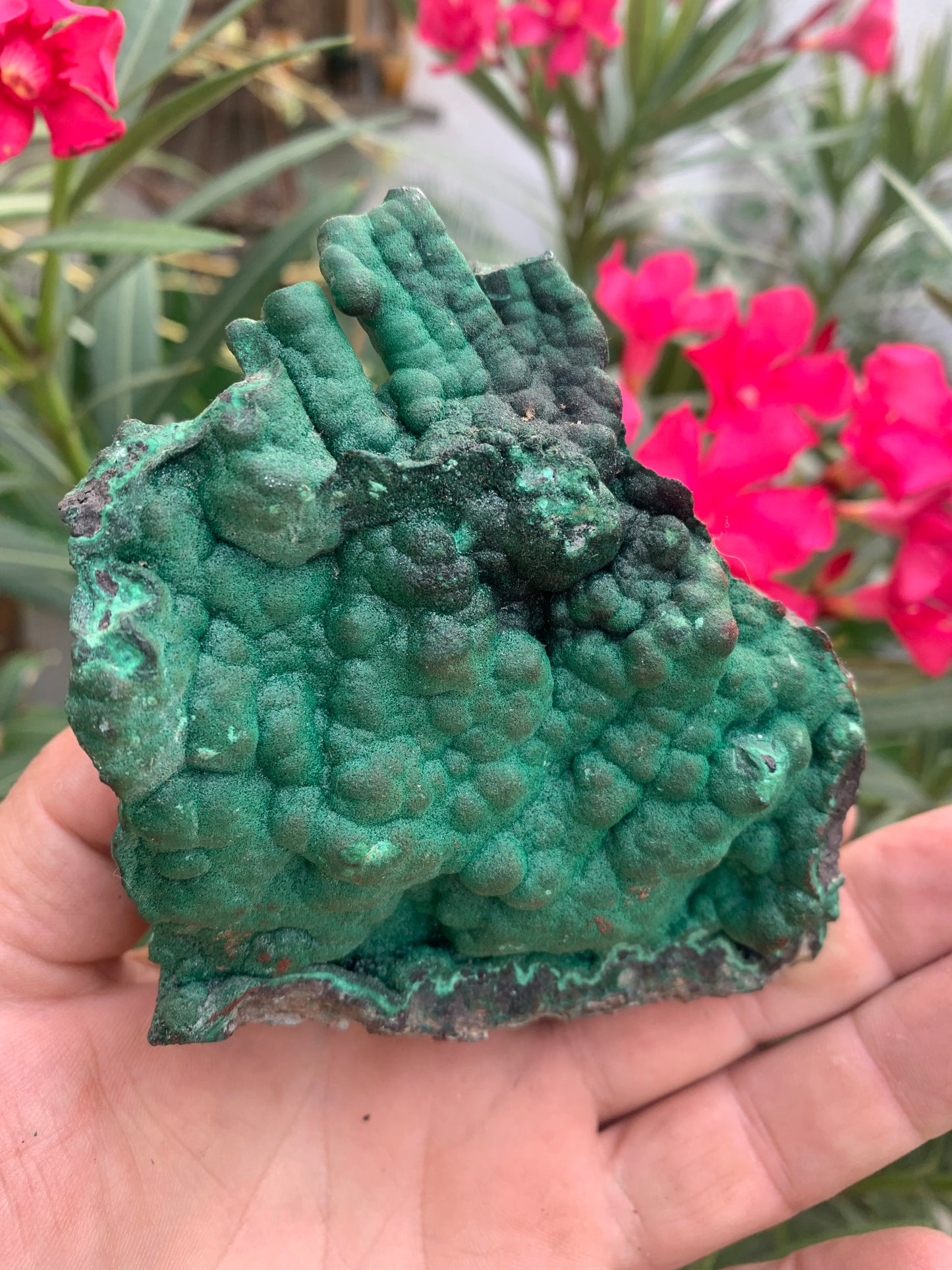 Malachite, superbe spécimen de taille XL de 723 grammes - 105mm x 100 x 75. Parfait pour une collection, exposition ou la bijouterie !