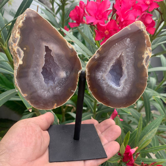 Agate, géode 'papillon' en 2 parties (sur socle dédié) de 150x 95 x 38 millimètres - 731 milligrammes. Superbe qualité, incroyables effets positifs pour vos collections, expositions...