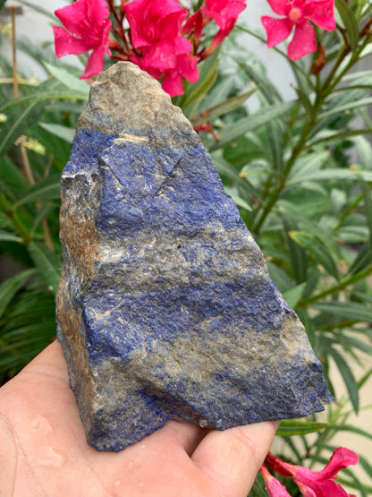 Lapis lazuli, spécimen brut de 152 x108 x 85 mm - 849 grammes. Un bleu envoûtant et fascinant, pierre des pharaons !