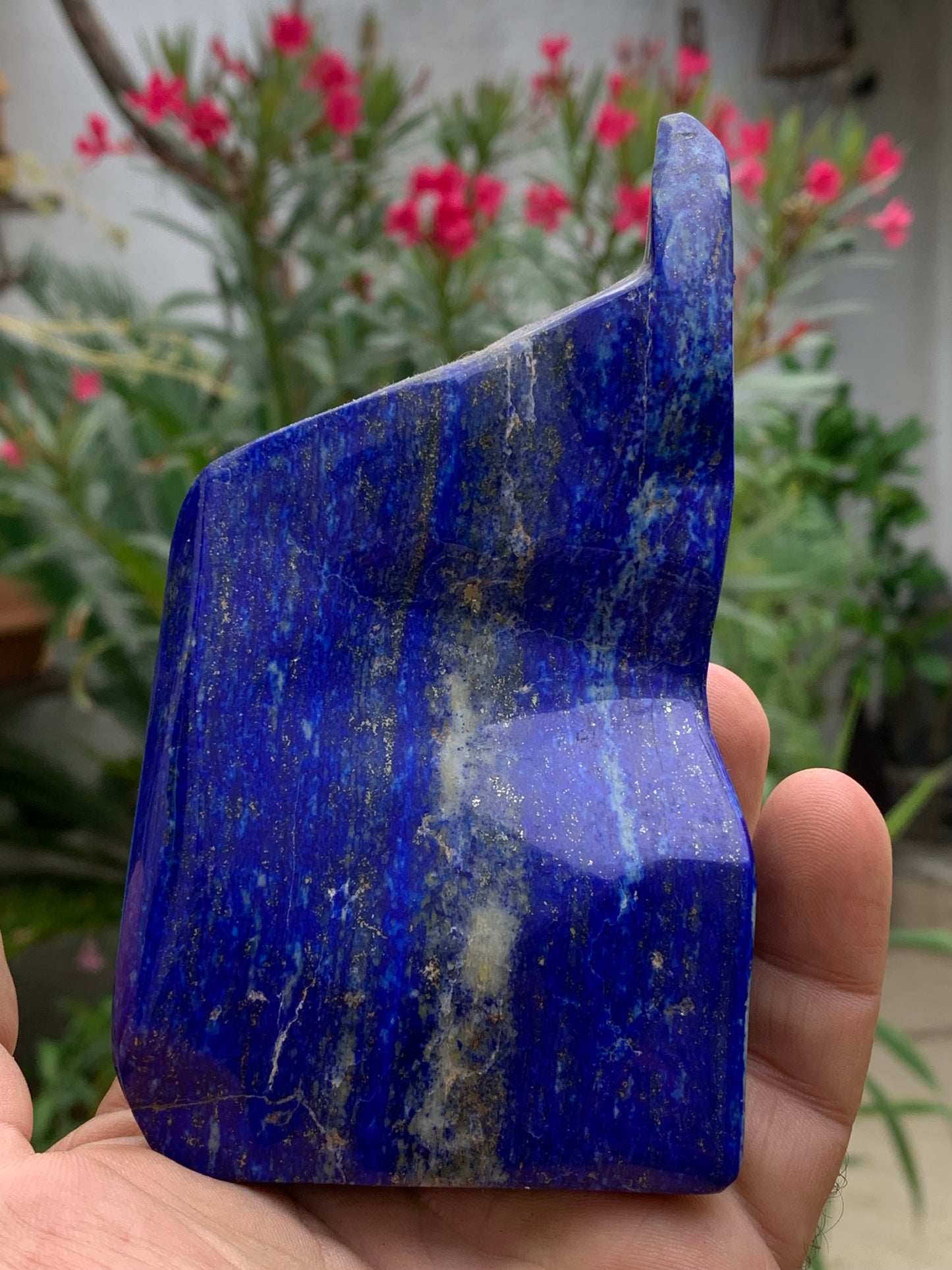 Lapis lazuli, forme libre polie de 135 x 71 x 42 mm - 479 grammes. Un bleu envoûtant et fascinant, pierre des pharaons !