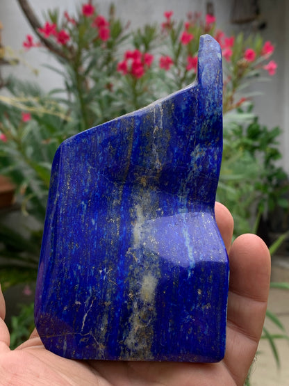 Lapis lazuli, forme libre polie de 135 x 71 x 42 mm - 479 grammes. Un bleu envoûtant et fascinant, pierre des pharaons !