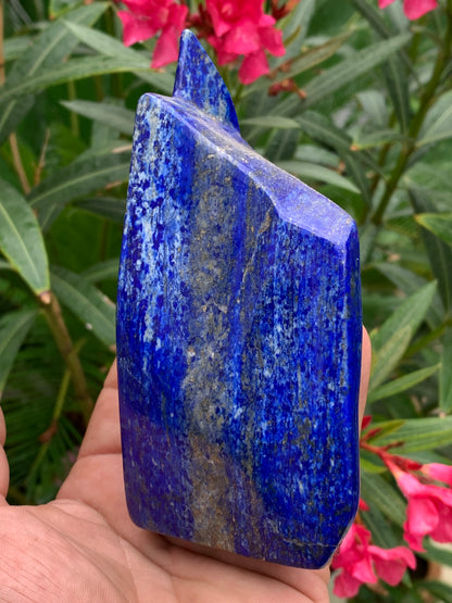 Lapis lazuli, forme libre polie de 135 x 71 x 42 mm - 479 grammes. Un bleu envoûtant et fascinant, pierre des pharaons !