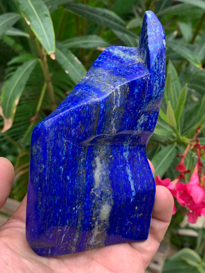 Lapis lazuli, forme libre polie de 135 x 71 x 42 mm - 479 grammes. Un bleu envoûtant et fascinant, pierre des pharaons !