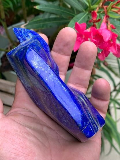 Lapis lazuli, forme libre polie de 135 x 71 x 42 mm - 479 grammes. Un bleu envoûtant et fascinant, pierre des pharaons !