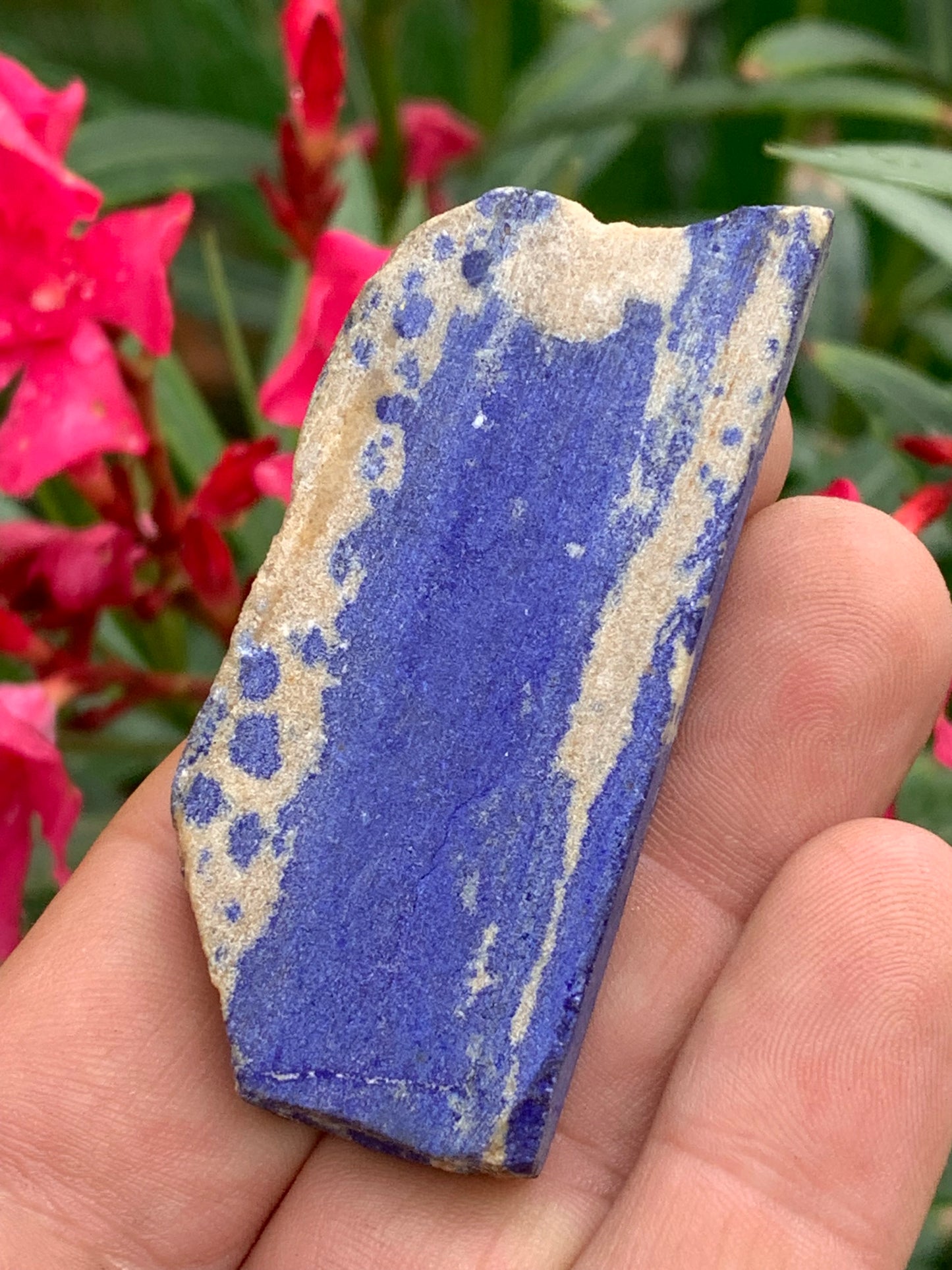 Lapis lazuli, tranche brute et natruelle de 65 x 30 x 9 mm - 33 grammes. Un bleu envoûtant et fascinant, pierre des pharaons !