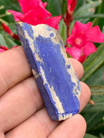 Lapis lazuli, tranche brute et natruelle de 65 x 30 x 9 mm - 33 grammes. Un bleu envoûtant et fascinant, pierre des pharaons !