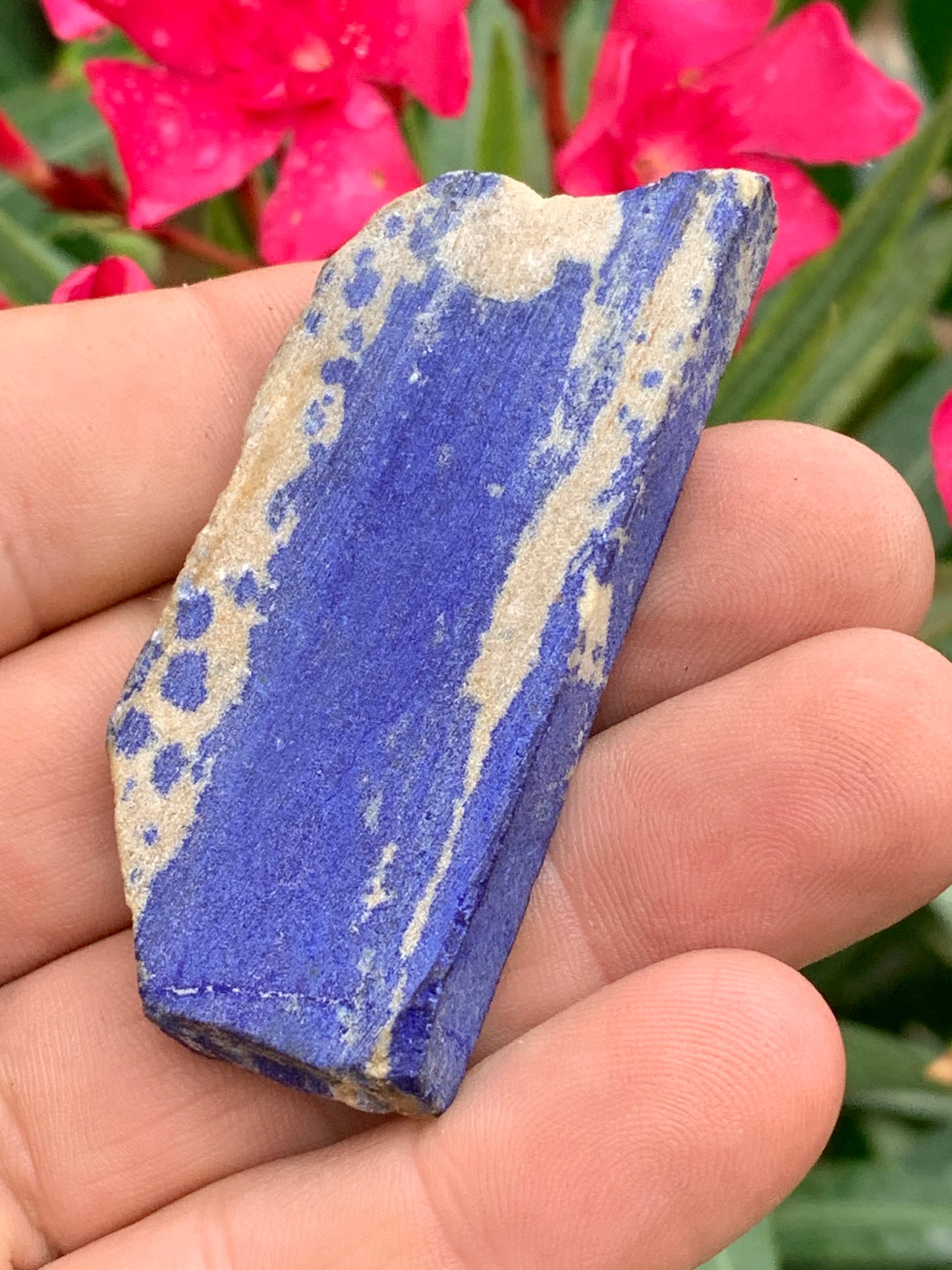 Lapis lazuli, tranche brute et natruelle de 65 x 30 x 9 mm - 33 grammes. Un bleu envoûtant et fascinant, pierre des pharaons !
