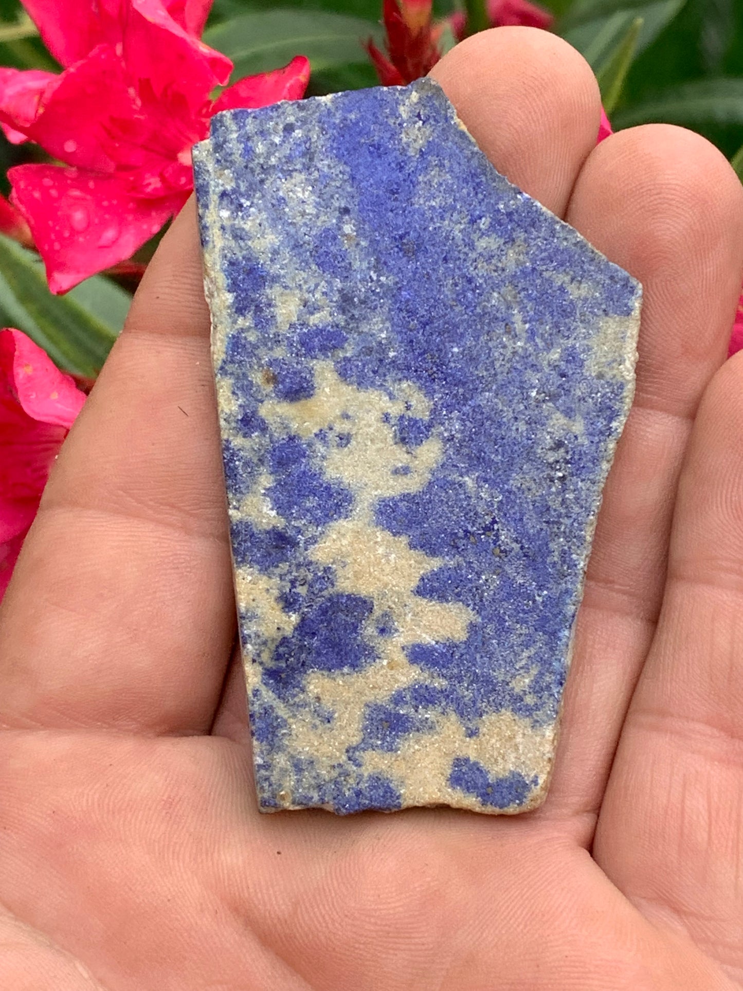 Lapis lazuli,  tranche brute et natruelle de 70 x 42 x 5 mm - 29,5 grammes. Un bleu envoûtant et fascinant, pierre des pharaons !