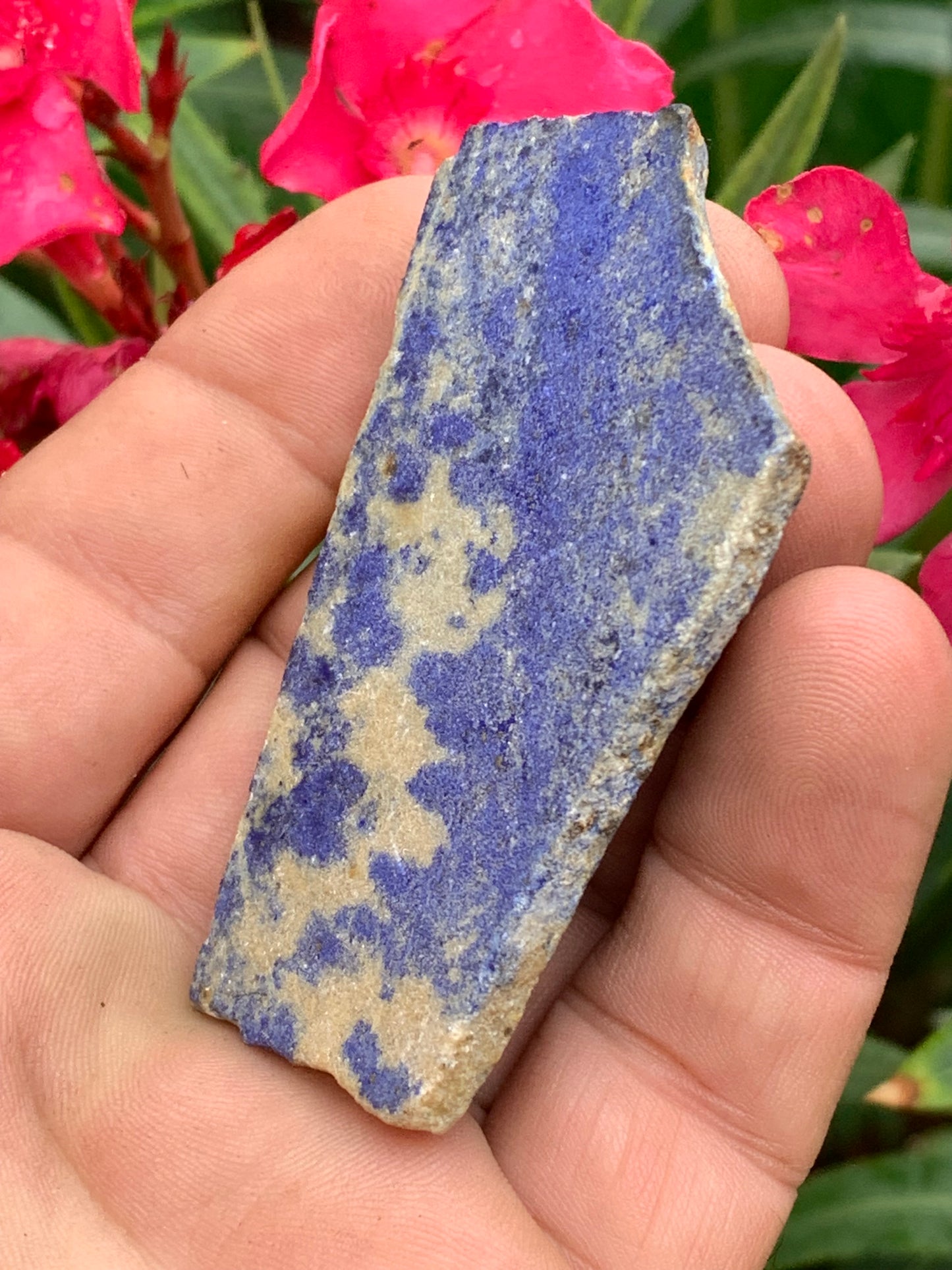 Lapis lazuli,  tranche brute et natruelle de 70 x 42 x 5 mm - 29,5 grammes. Un bleu envoûtant et fascinant, pierre des pharaons !