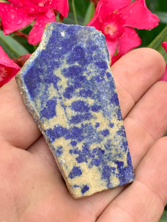 Lapis lazuli,  tranche brute et natruelle de 70 x 42 x 5 mm - 29,5 grammes. Un bleu envoûtant et fascinant, pierre des pharaons !