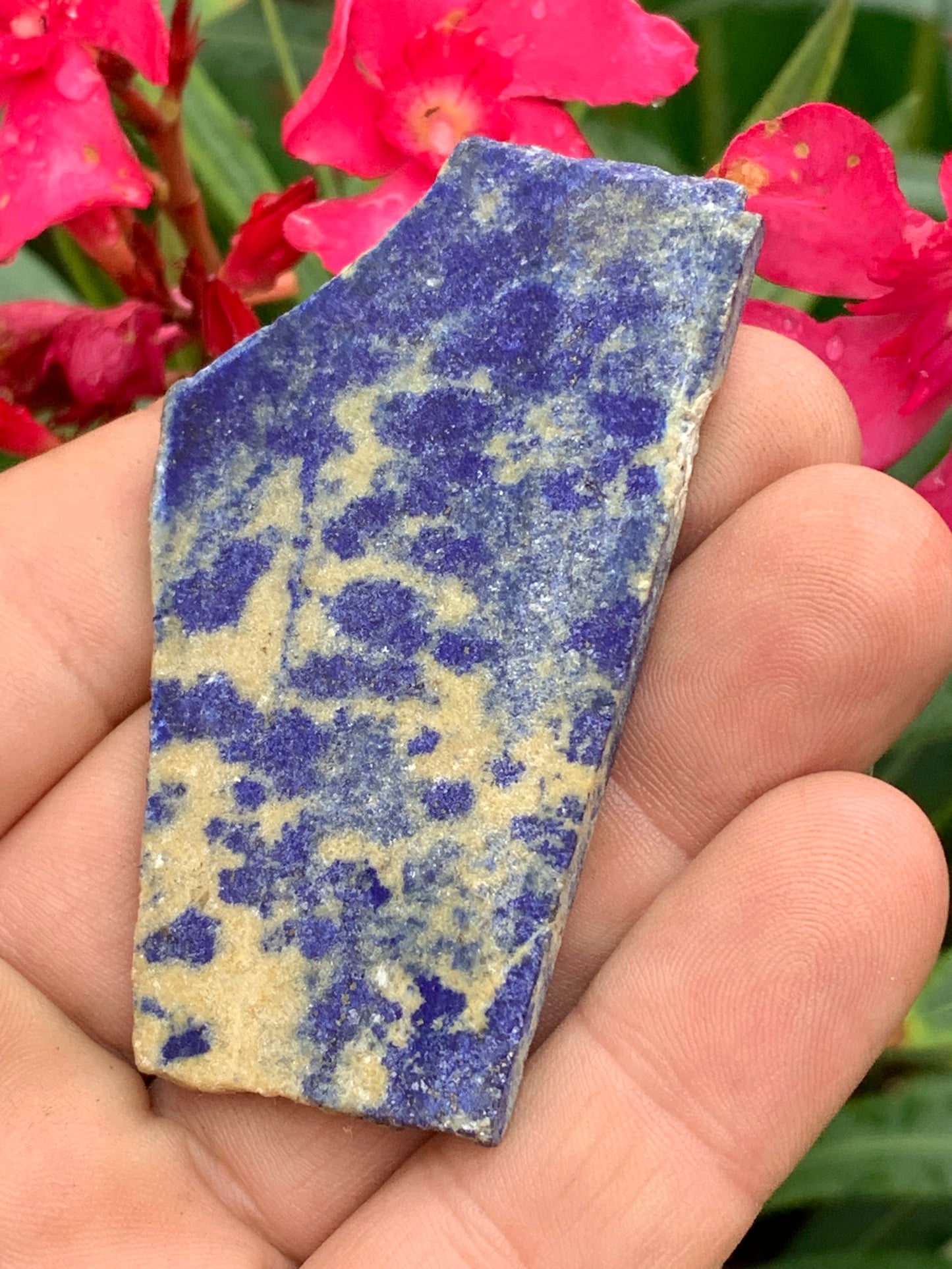 Lapis lazuli,  tranche brute et natruelle de 70 x 42 x 5 mm - 29,5 grammes. Un bleu envoûtant et fascinant, pierre des pharaons !