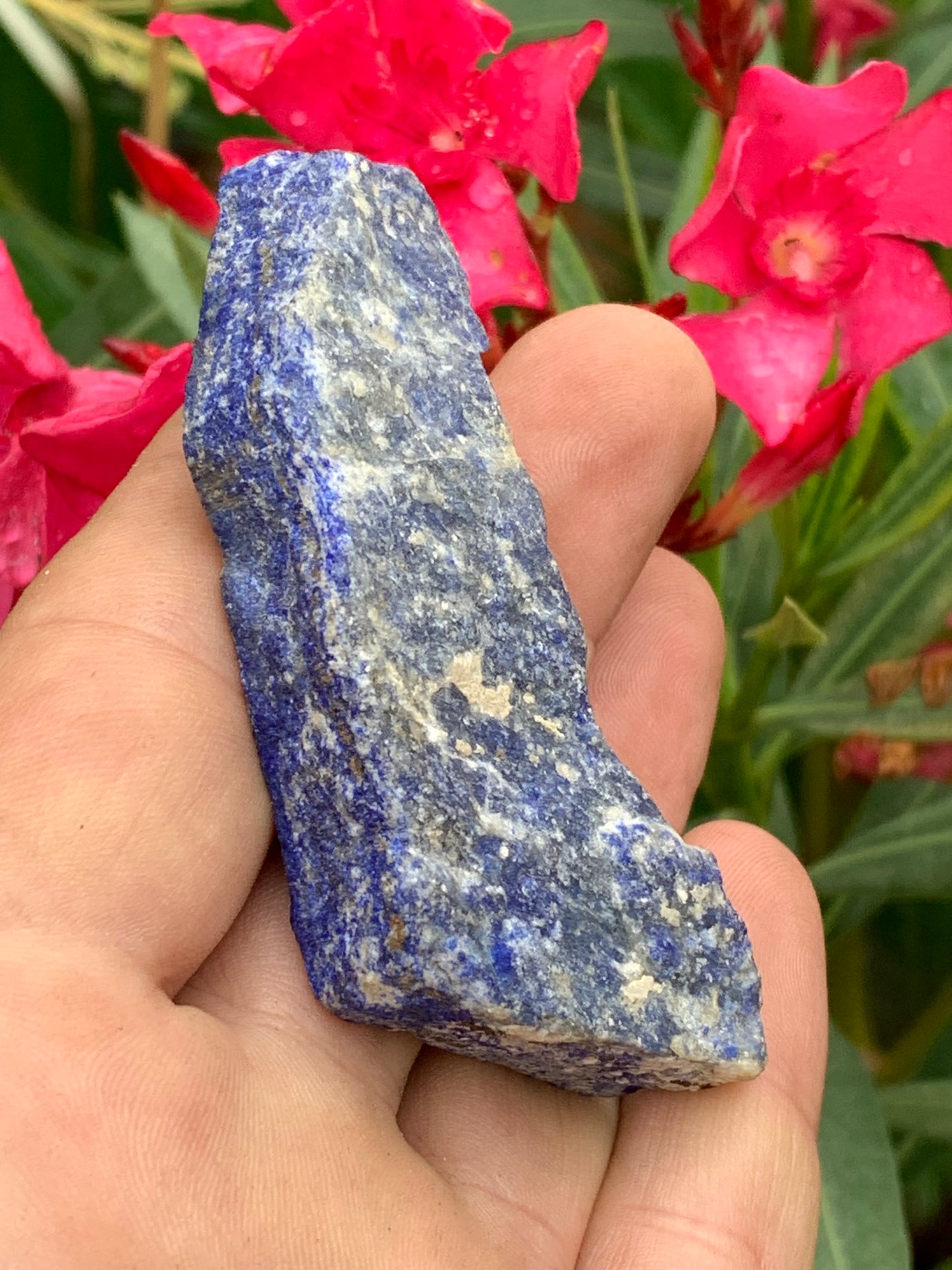 Lapis lazuli, tranche brute et natruelle de 77 x 40 x 15 mm - 58,3 grammes. Un bleu envoûtant et fascinant, pierre des pharaons !