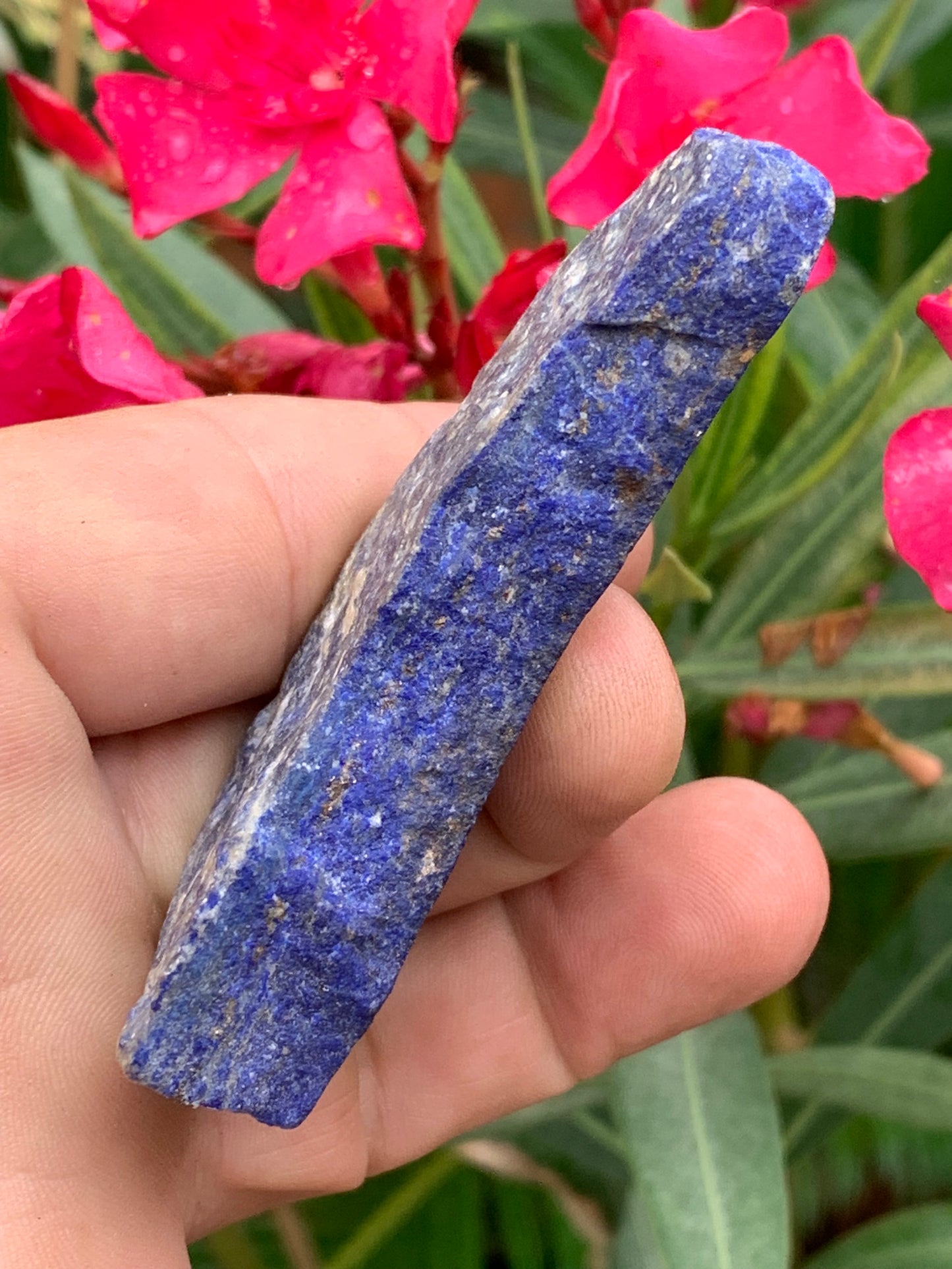 Lapis lazuli, tranche brute et natruelle de 77 x 40 x 15 mm - 58,3 grammes. Un bleu envoûtant et fascinant, pierre des pharaons !