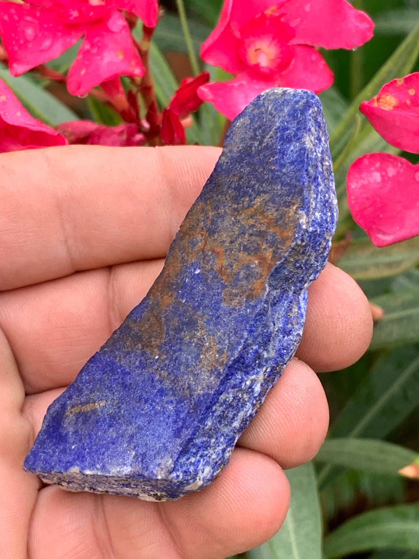 Lapis lazuli, tranche brute et natruelle de 77 x 40 x 15 mm - 58,3 grammes. Un bleu envoûtant et fascinant, pierre des pharaons !