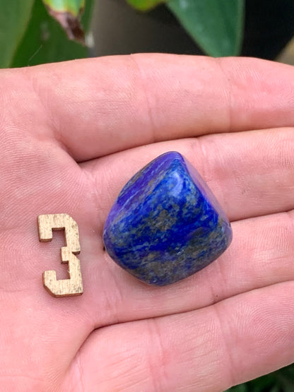 Lapis lazuli, pierres roulées de 30 x 20 x 15 mm - 20 grammes environ. Un bleu envoûtant et fascinant, pierre des pharaons !