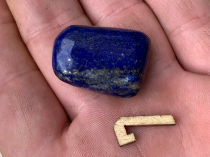 Lapis lazuli, pierres roulées de 30 x 20 x 15 mm - 20 grammes environ. Un bleu envoûtant et fascinant, pierre des pharaons !