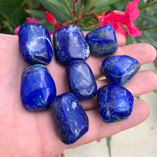 Lapis lazuli, pierres roulées de 30 x 20 x 15 mm - 20 grammes environ. Un bleu envoûtant et fascinant, pierre des pharaons !