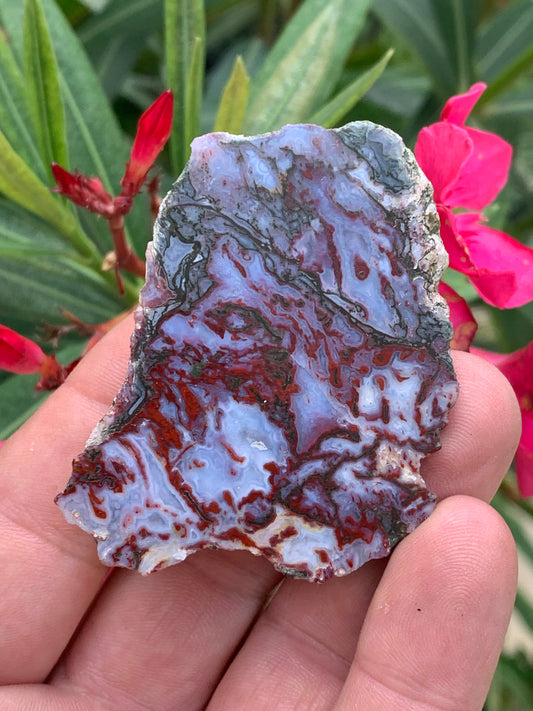 Agate mousse, magnifique spécimen de 64 x 47 x 22 mm - 61 grammes environ. Des dessins et couleurs rares et uniques !